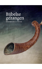 Bijbelse gezangen