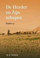 de Herder en zijn schapen.JPG