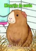 Klaartje de cavia.jpg