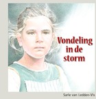 Vondeling in de storm